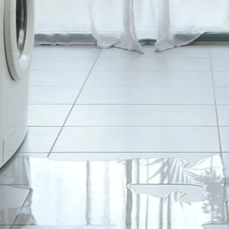 Appliance Leak Cleanup in Del Mar, CA